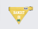 Bandana Du Brésil - Chien