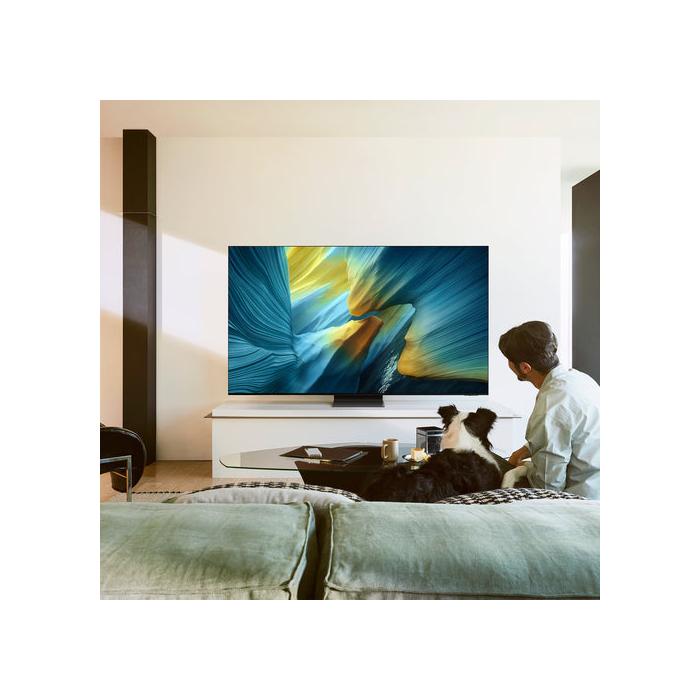 Samsung - OLED 65" S95F – TV QD-OLED 4K 165Hz Premium
