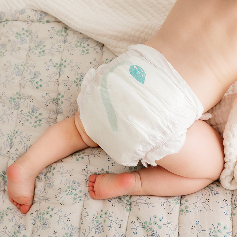 Couches Écologiques - Taille 1 À 5