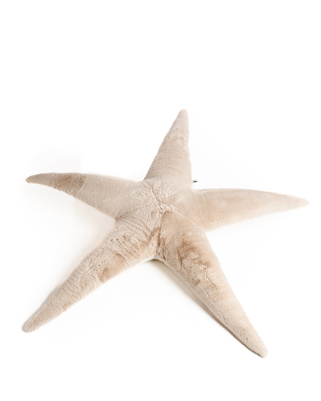 The Starfish