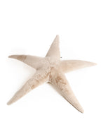 The Starfish