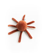 The Mini Octopus