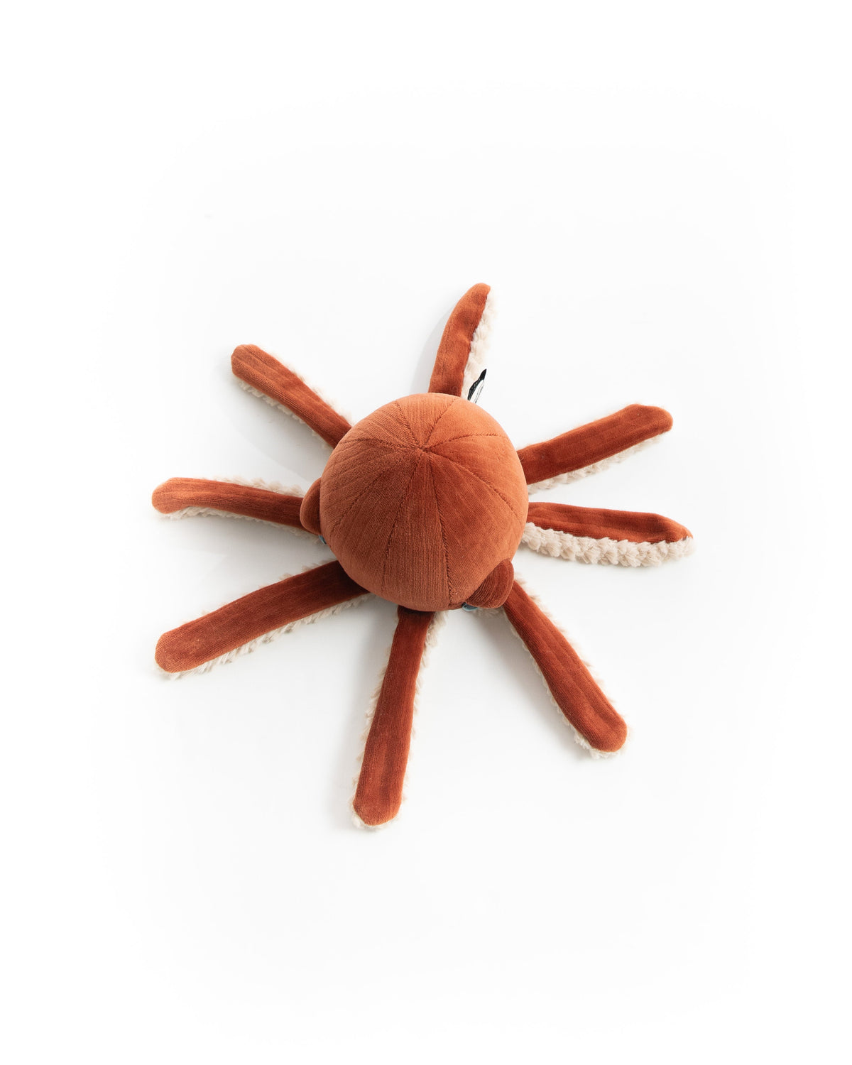 The Mini Octopus