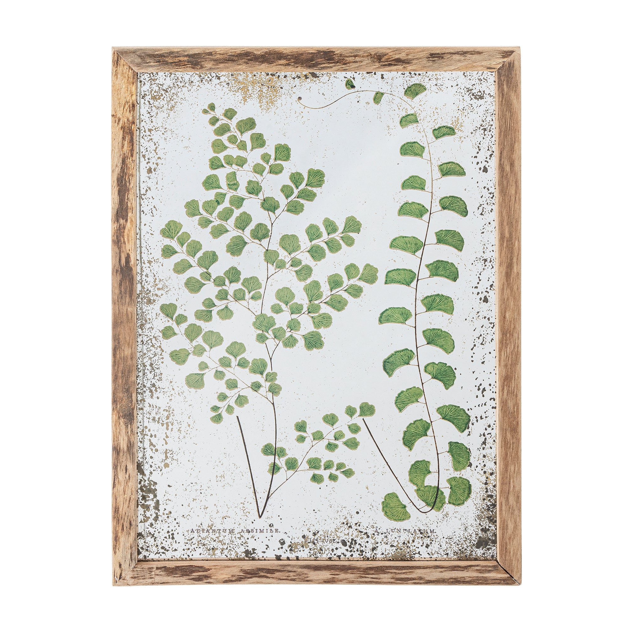 Tipper - Framed Illustration - Green - Pine