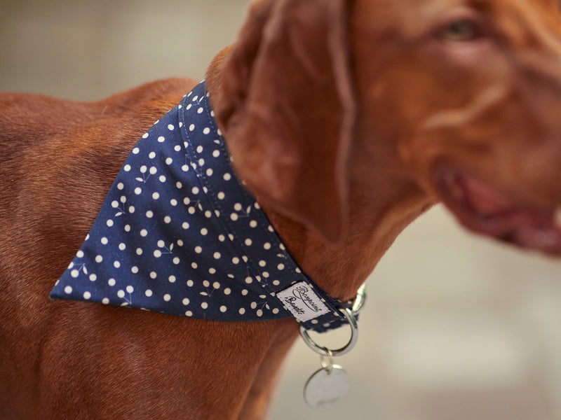 Bandana Bleu Marine  - Chien