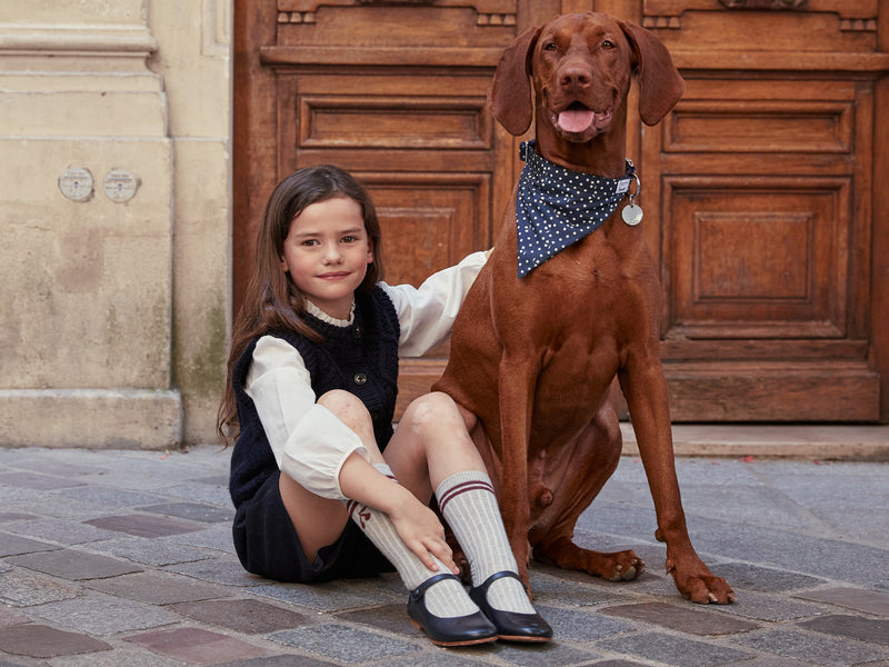 Bandana Bleu Marine  - Chien