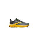 Chaussures de trail Cascadia 17 - Gris
