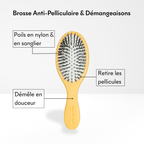 Brosse Anti-Pelliculaire & Démangeaisons [Th]