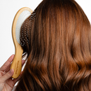 Brosse Anti-Casse [Th]