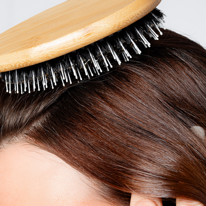 Brosse Anti-Pelliculaire & Démangeaisons [Th]