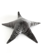 The Starfish