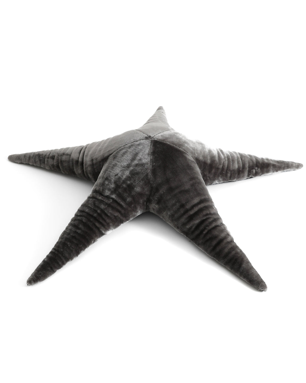 The Starfish