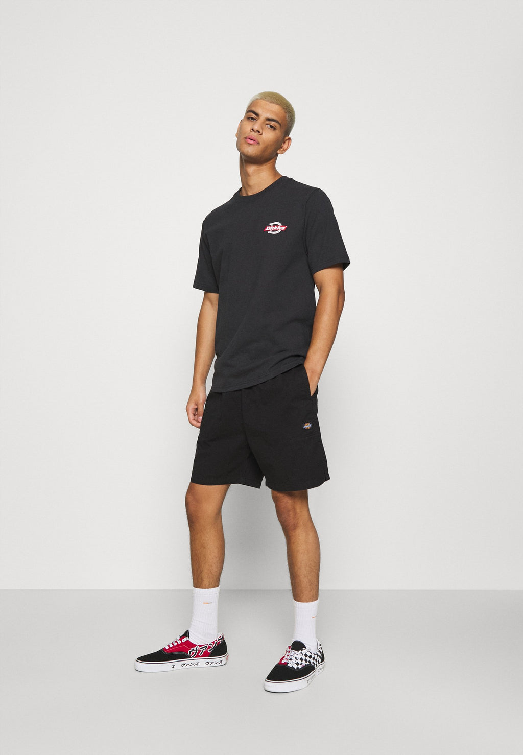 Pantalón corto Dickies Pelican Rapids Negro - Black
