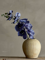 Taym - Lot de 2 Vases Déco - Naturel - Terre Cuite