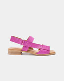 Gobio Fucsia