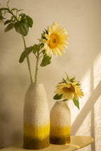 Cache Vase Cloche Fusion - Citron - Pistache