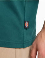 T-shirt Minden - Verde scuro - Uomo