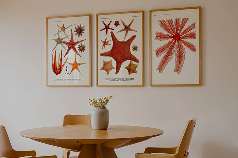 Image de la collection Salam Editions