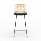Goa - Set of 2 Rattan and Black Central Island Chairs