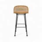 Jigani - Set of 2 Brown Resin Woven Bar Chairs