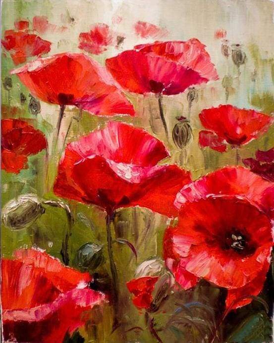 Pintura por números - Campo de amapolas