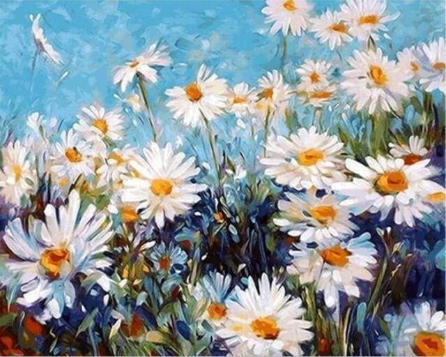 Peinture Par Numéros - Champ De Marguerites Et Ciel Bleu