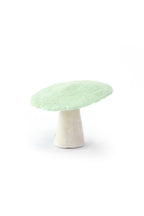 Champignons - Menthe