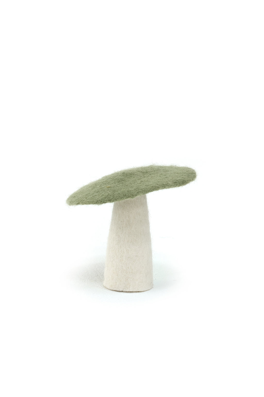 Svampar - Sauge