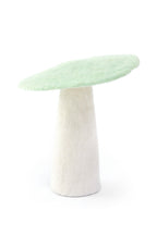 Champignons - Menthe