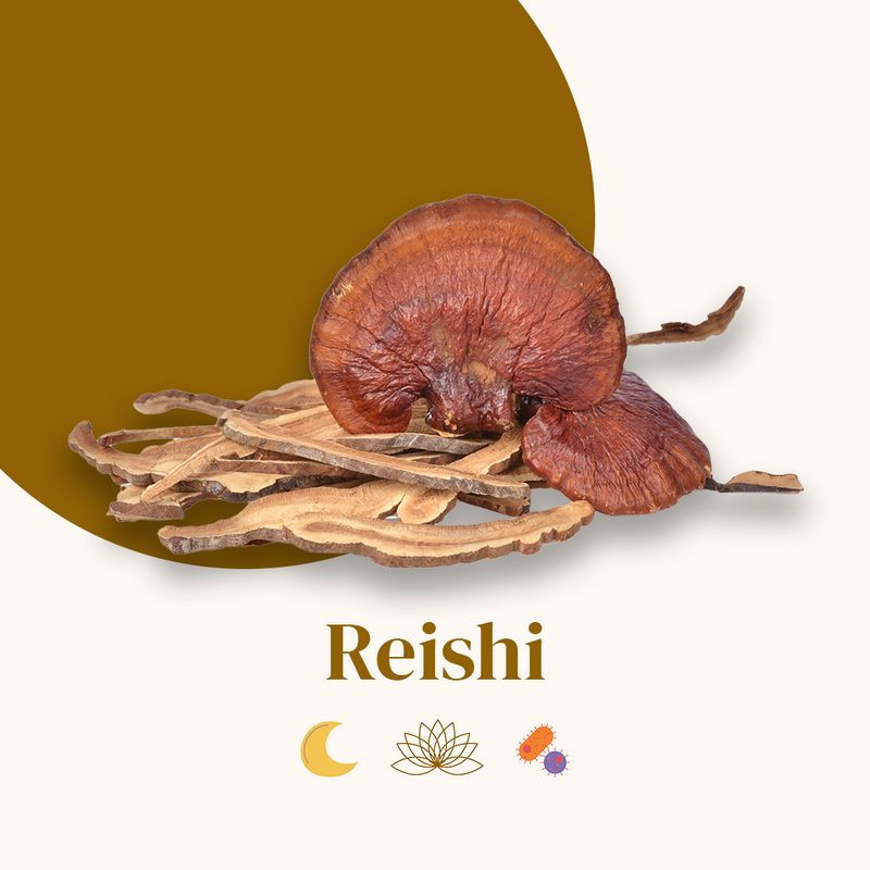 Compléments Alimentaires Reishi - Immunité, relaxation et sommeil