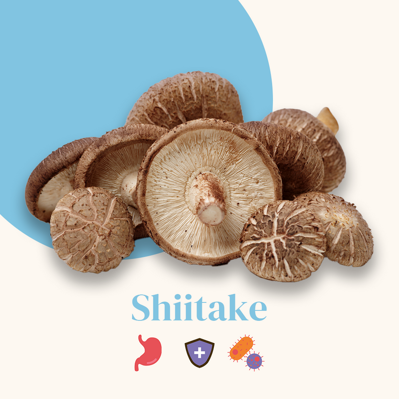 Complexe 5 Champignons - Cure de 1 à 3 mois en gélules