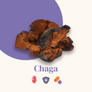 Pack Complexe 5 Champignons Et Chaga - Gélules