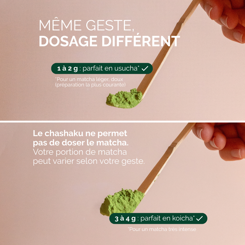 Chashaku - Cuillère En Bambou Pour Le Thé Matcha
