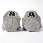 Chaussettes Languette Chien & Chat