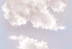 Fresque Ciel - Sunset Pink
