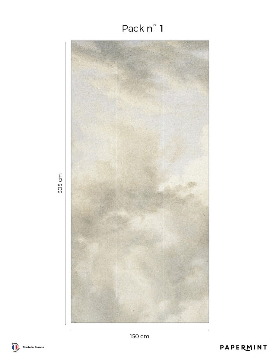 Cotton Sky Fresco - Flannel
