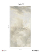 Cotton Sky Fresco - Flannel