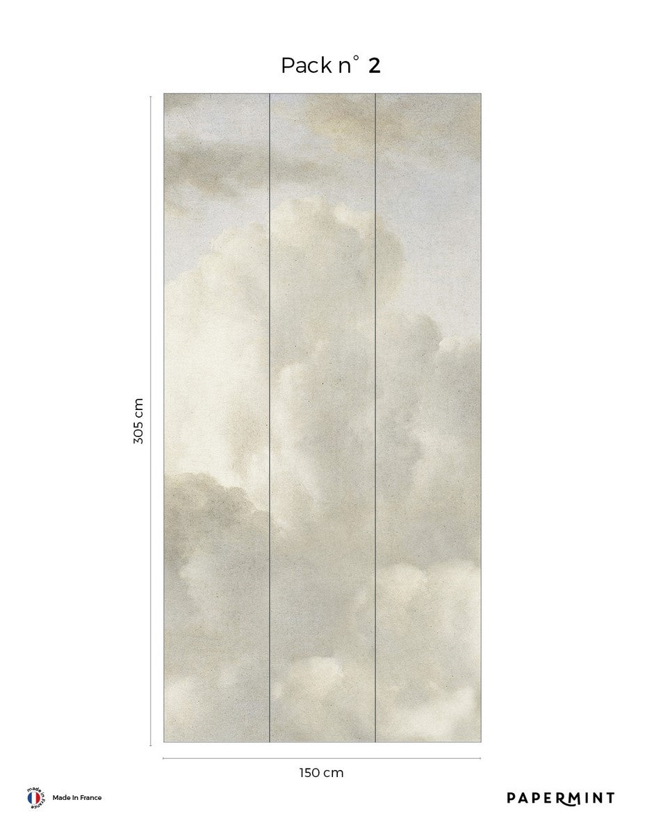 Cotton Sky Fresco - Flannel