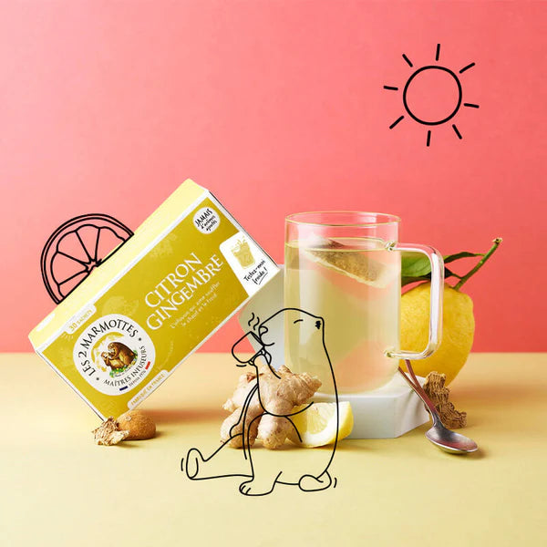 Infusion Citron Gingembre - 30 Sachets