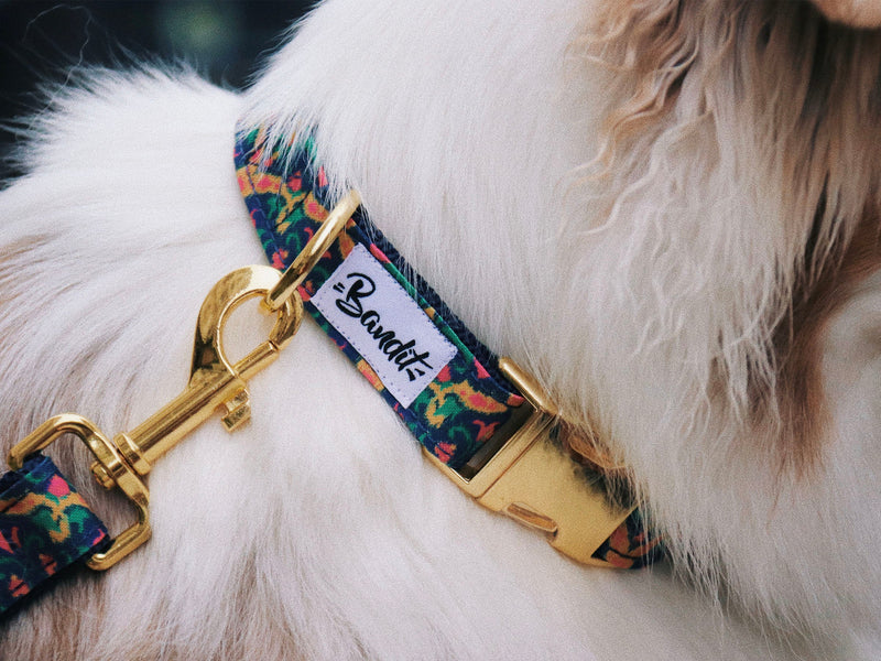 Collier Motif Multicolore - Chien