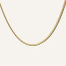 Collier chaîne acier inoxydable doré