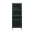 Bjorn - 1-Door Storage Cabinet - Fluted Glass and Metal - Dark Green