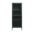 Bjorn - 1-Door Storage Cabinet - Fluted Glass and Metal - Dark Green