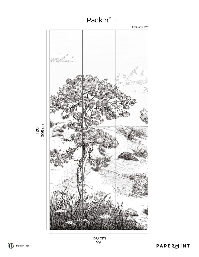 Fresque Côte Sauvage - Embruns