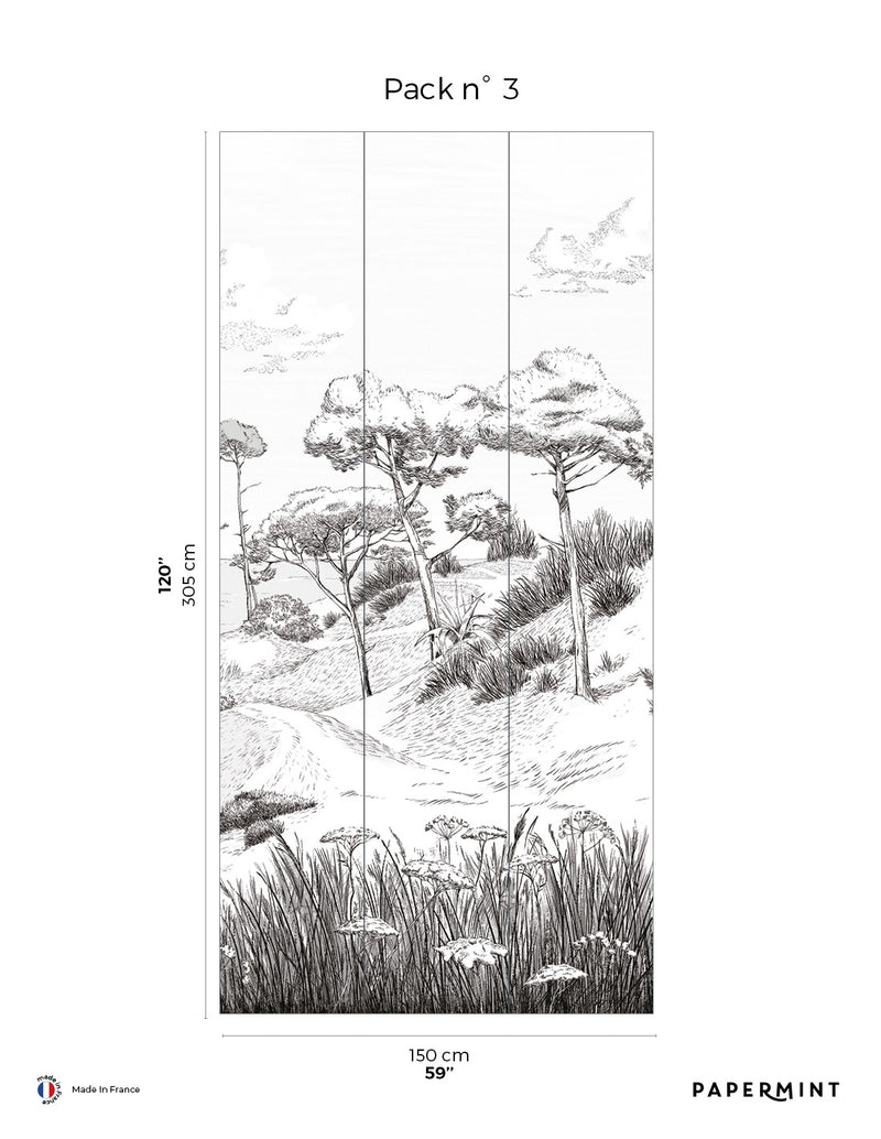 Fresque Côte Sauvage - Embruns