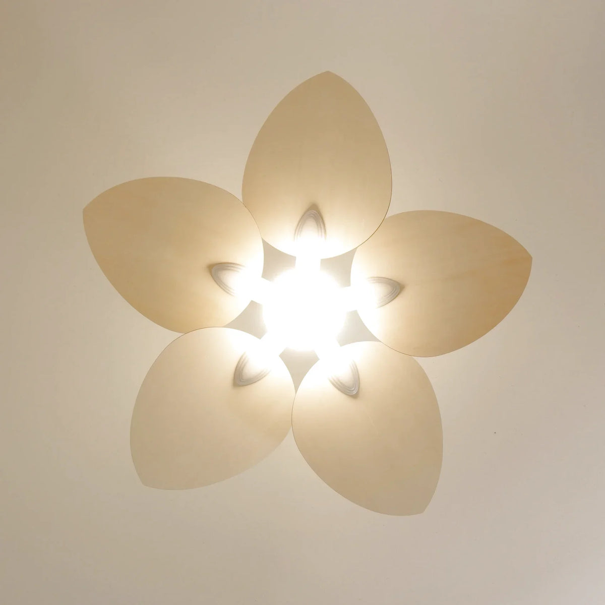 Dahlia | Ventilateur De Plafond – Ø 109 Cm