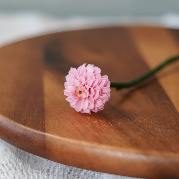 Preserved Pale Pink Dahlia