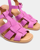 Alosa Fucsia