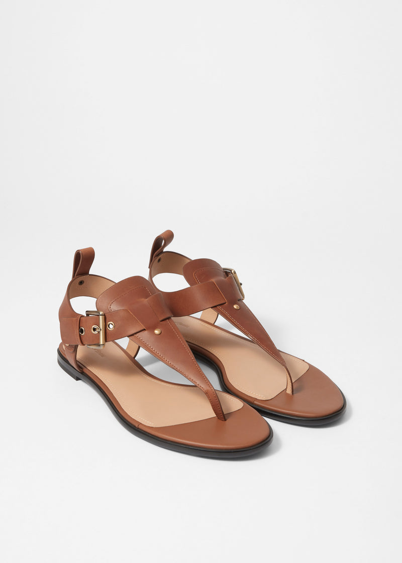 Sandalia Shoes America - Marrón - Mujer