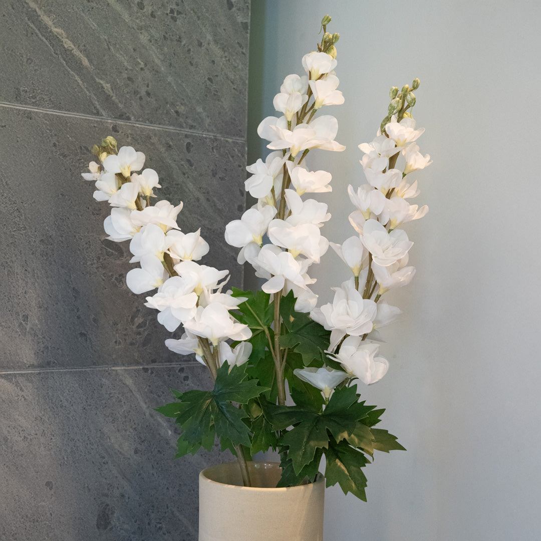 Delphinium Blanc